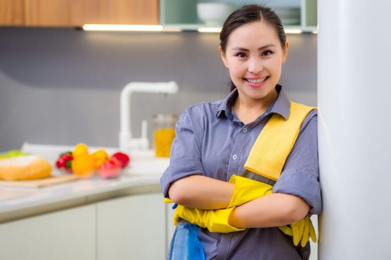 Domestic Helper