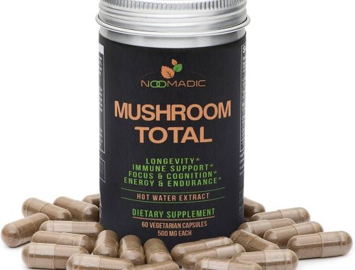 Power of Mushroom Supplements