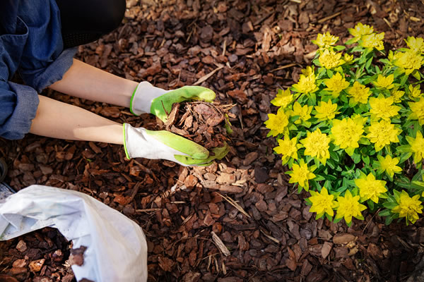 cleveland bulk mulch