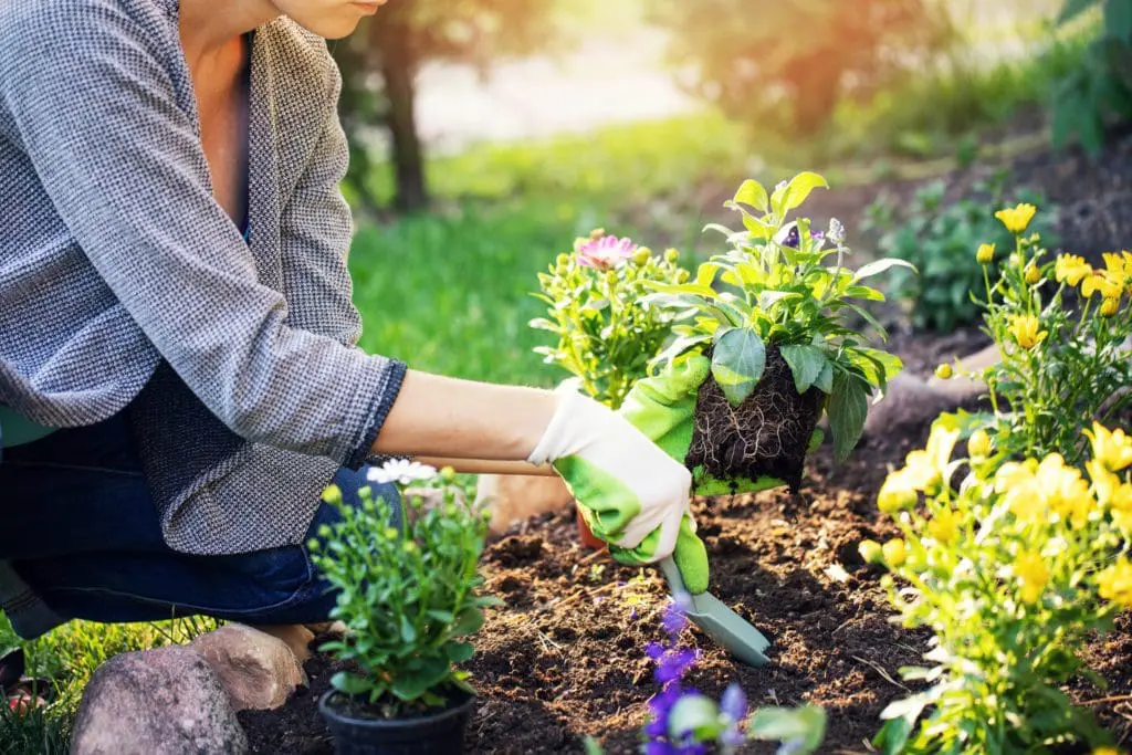 cleveland bulk mulch