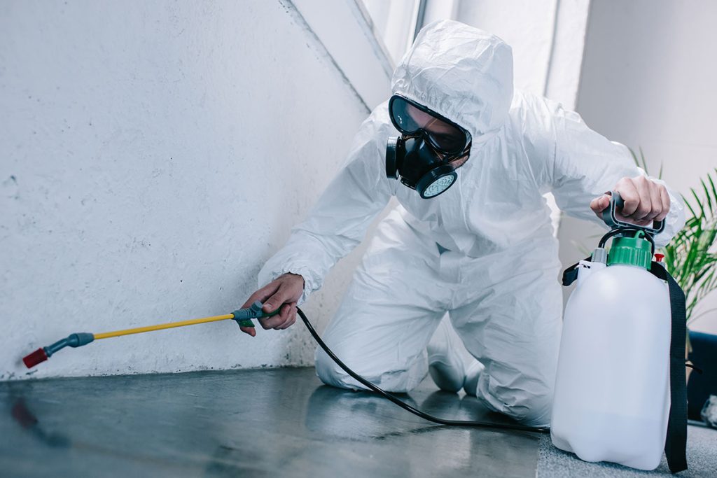 pest control katherine