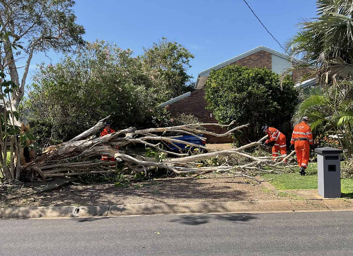 Tree service 