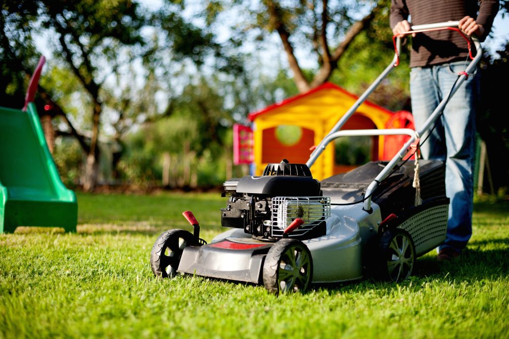 lawn care and landscaping