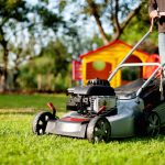 lawn care and landscaping