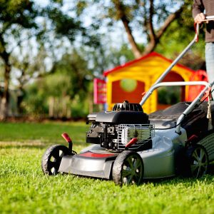 lawn care and landscaping